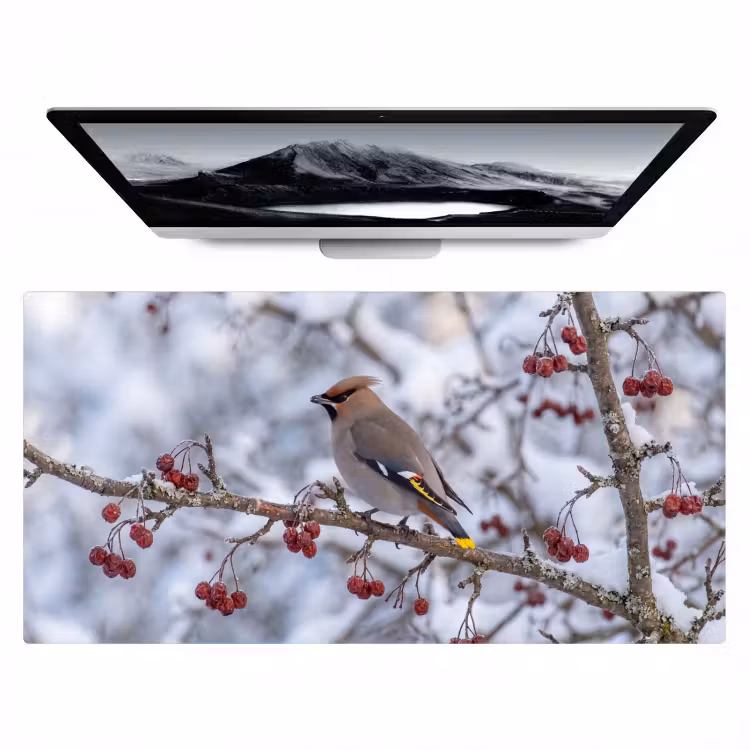 Pestvogel - Bessen - Winter - Natuur Muismat XXL klein -zzz3d