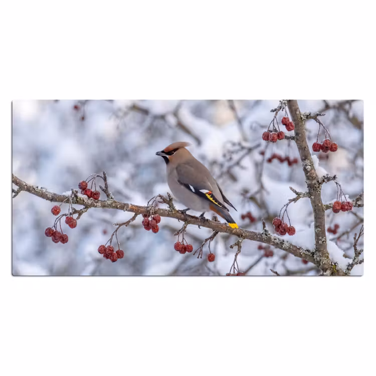 Pestvogel - Bessen - Winter - Natuur Muismat XXL klein -3d_leeg