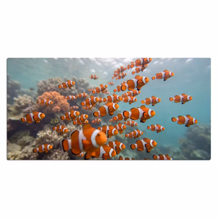 Vis - School - Onderwater - Dieren - Oranje Muismat XXL klein -3d_leeg