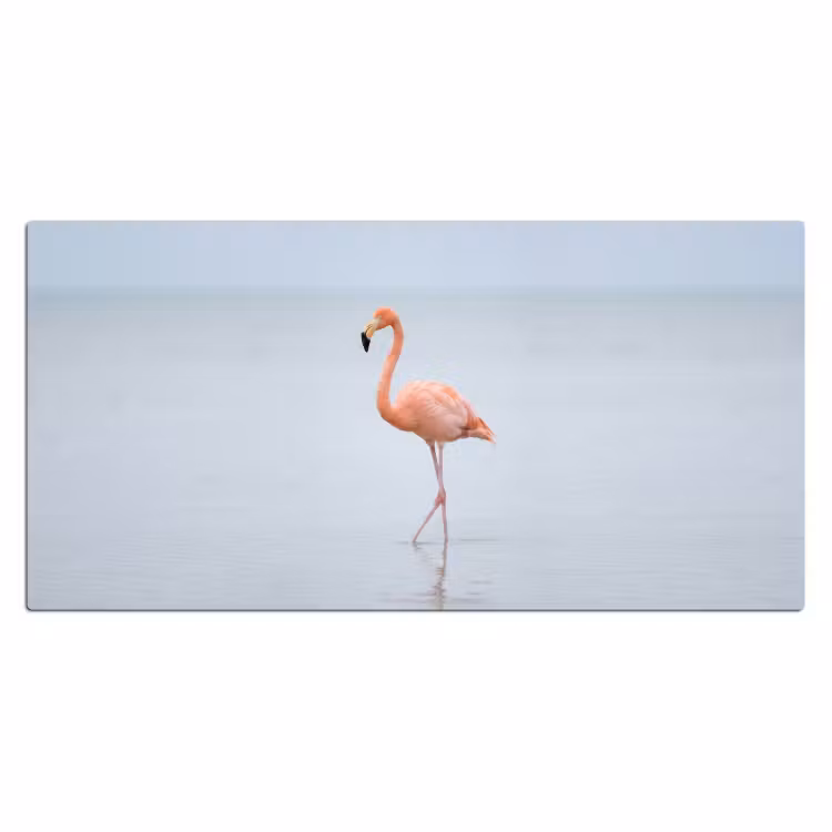 Flamingo - Zee - Roze Muismat XXL klein -3d_leeg