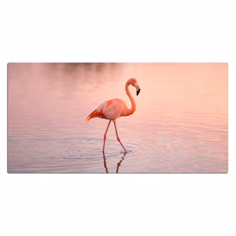Flamingo - Water - Roze Muismat XXL klein -3d_leeg