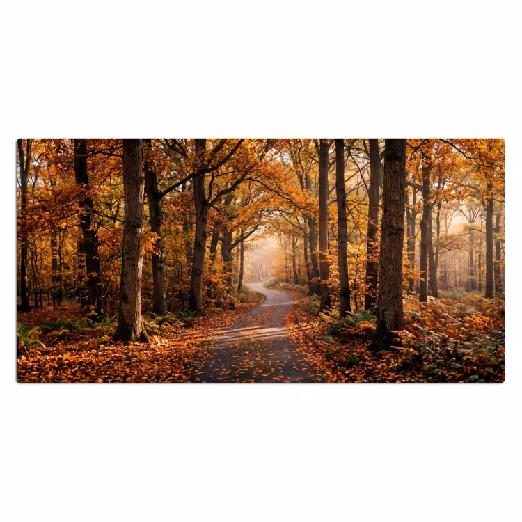 Bospad - Herfstbos - Bladeren - Oranje - Nostalgisch Muismat XXL klein -3d_leeg