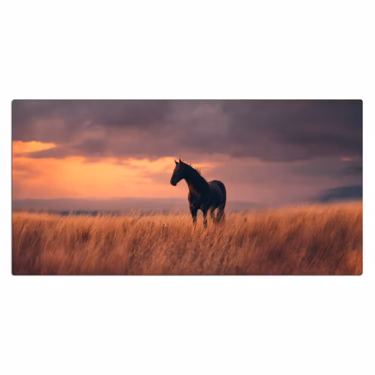 Paard - Wolken - Open veld Muismat XXL klein -3d_leeg