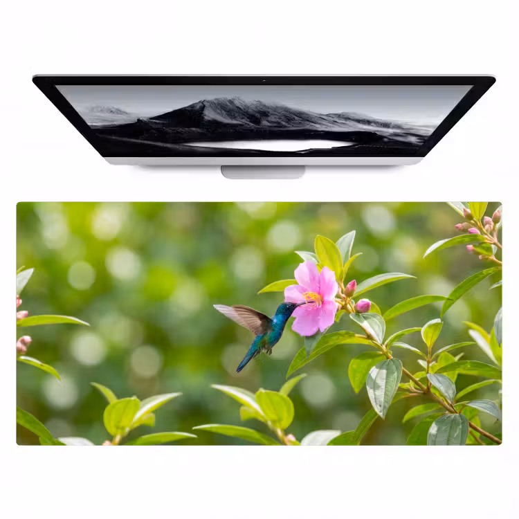 Kolibrie - Bloem - Natuur - Groen Muismat XXL klein -zzz3d