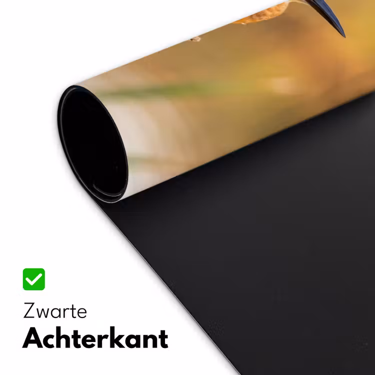 IJsvogel - Tak - Water - Kleurrijk - Levendig Muismat XXL klein -sfeer2