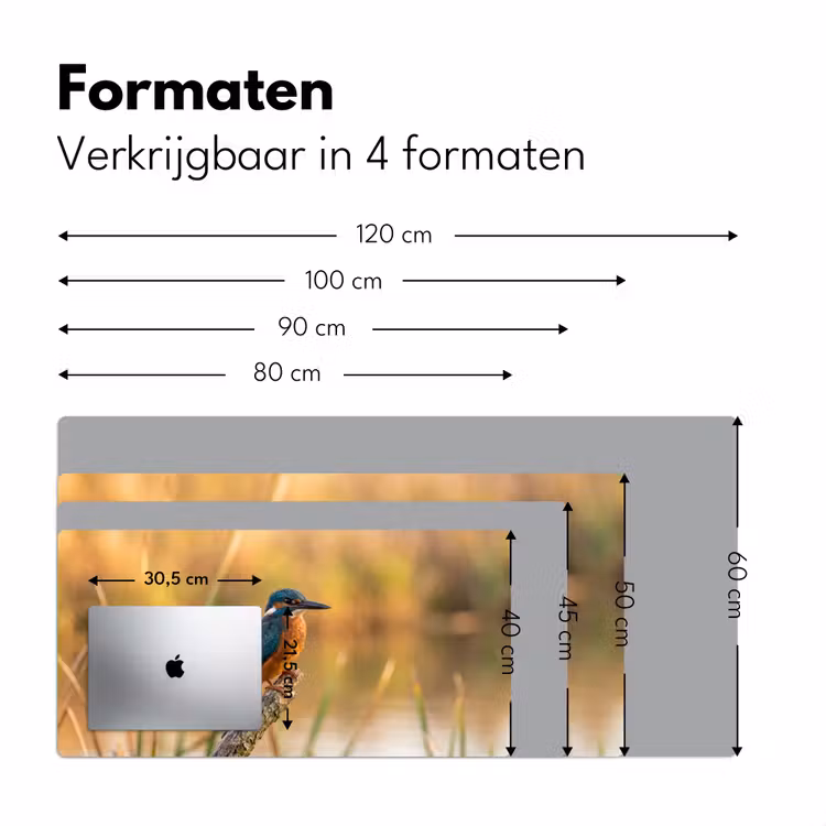 IJsvogel - Tak - Water - Kleurrijk - Levendig Muismat XXL klein -sfeer5