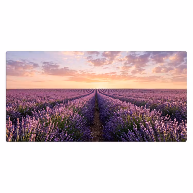 Landschap - Lavendelveld - Paars Muismat XXL klein -3d_leeg