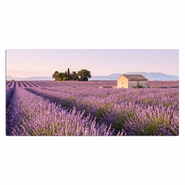 Lavendel - Landschap - Sereen - Paars Muismat XXL klein -3d_leeg