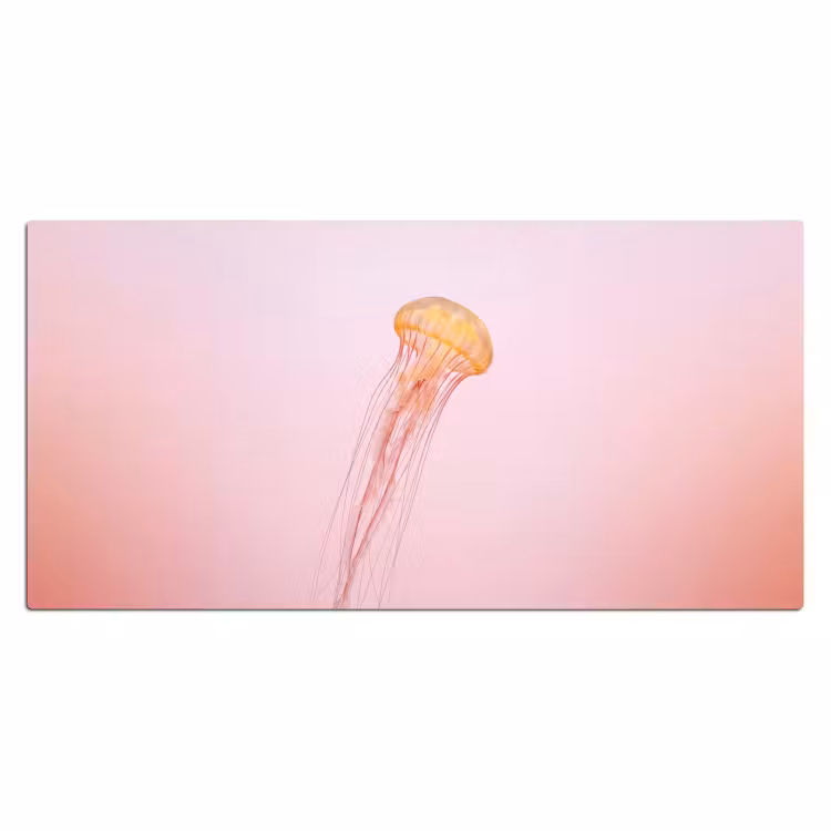 Sierlijk - Kwal - Roze Muismat XXL klein -3d_leeg