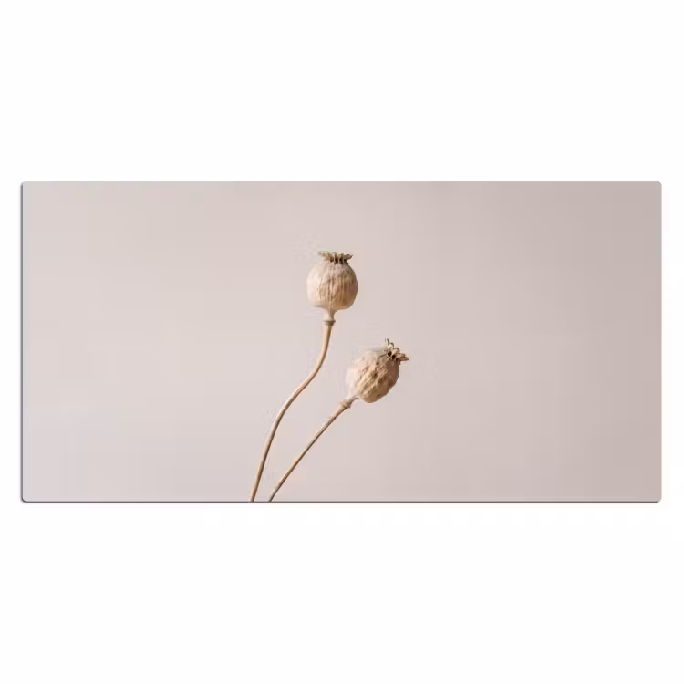Papaverbollen - Droogbloemen - Minimalistisch - Beige - Rustig Muismat XXL klein -3d_leeg