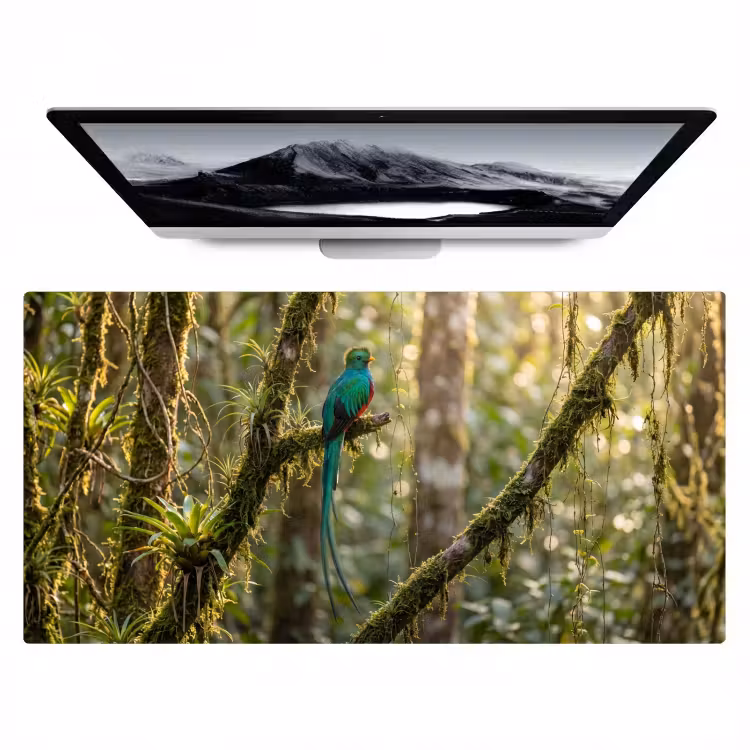 Quetzal - Jungle - Natuur - Groen Muismat XXL klein -zzz3d