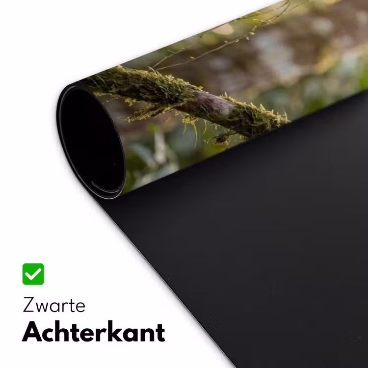 Quetzal - Jungle - Natuur - Groen Muismat XXL klein -sfeer2