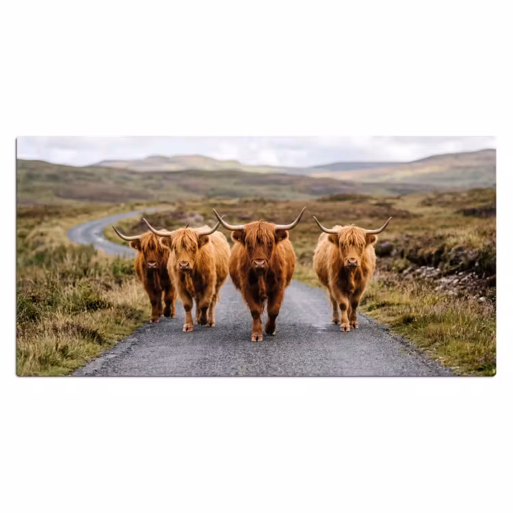 Schotse Hooglanders - Weg - Landschap - Kudde Muismat XXL klein -3d_leeg