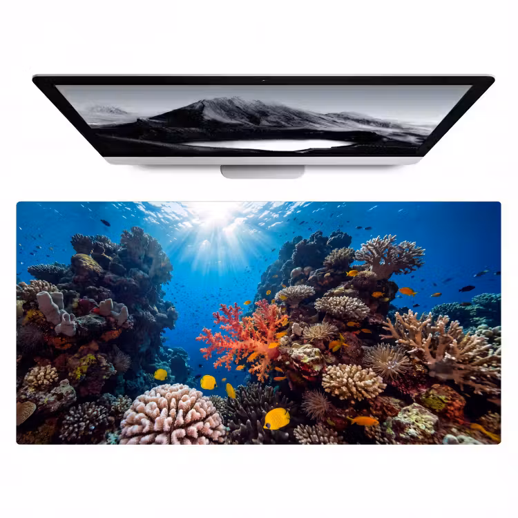 Zee - Koraalrif - Natuur - Levendig - Blauw Muismat XXL klein -zzz3d