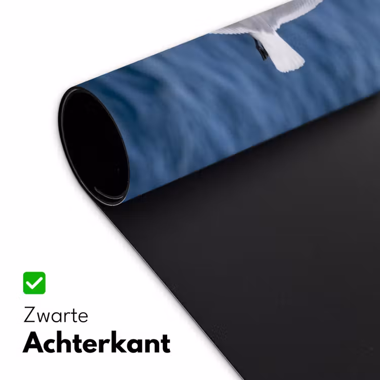 Zeemeeuw - Oceaan - Blauw Muismat XXL klein -sfeer2