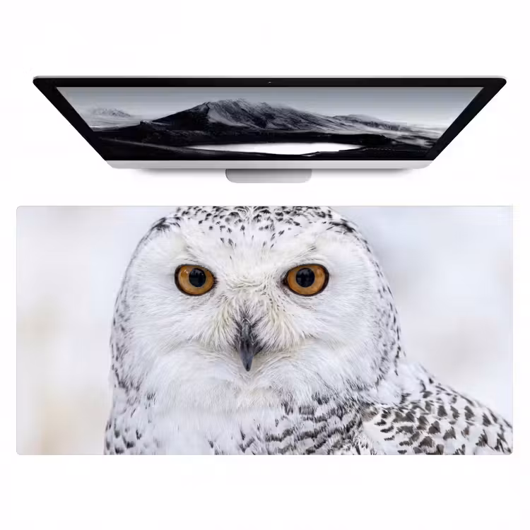 Sneeuwuil - Oog - Wildlife - Wit Muismat XXL klein -zzz3d