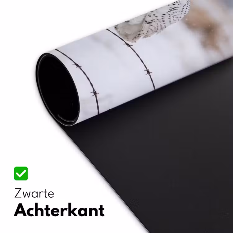 Sneeuwuil - Hek - Sneeuw - Wit Muismat XXL klein -sfeer2