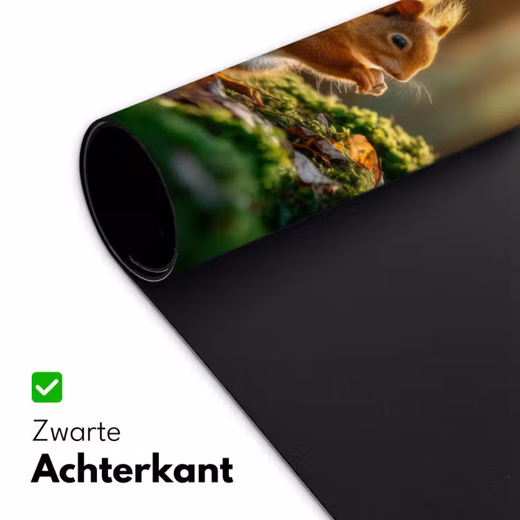 Eekhoorn - Nootje - Gras Muismat XXL klein -sfeer2