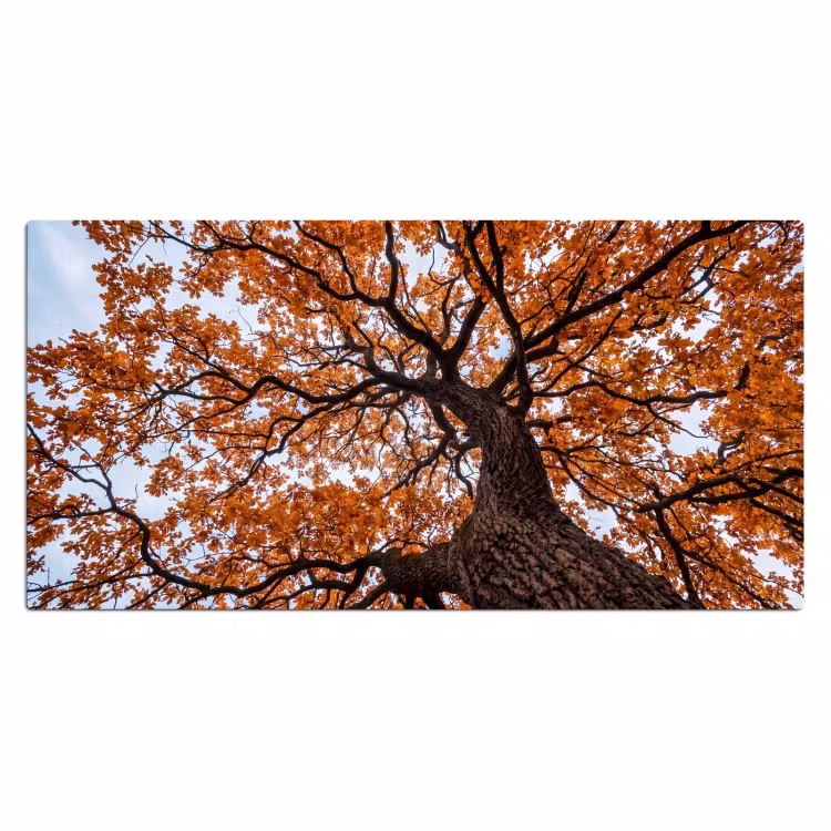 Boom - Bladerdak - Herfst - Oranje - Sfeervol Muismat XXL klein -3d_leeg