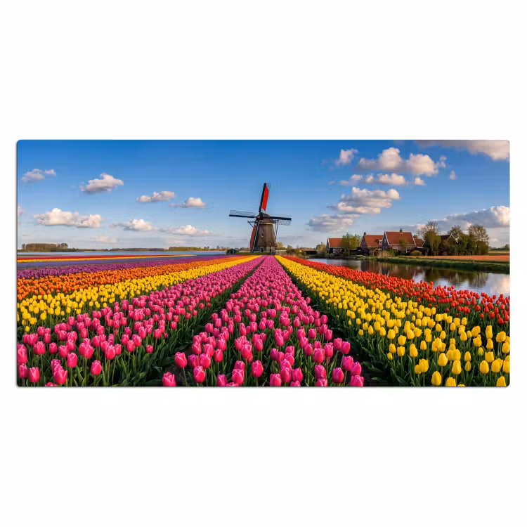 Tulpen - Holland - Molen - Kleurrijk Muismat XXL klein -3d_leeg