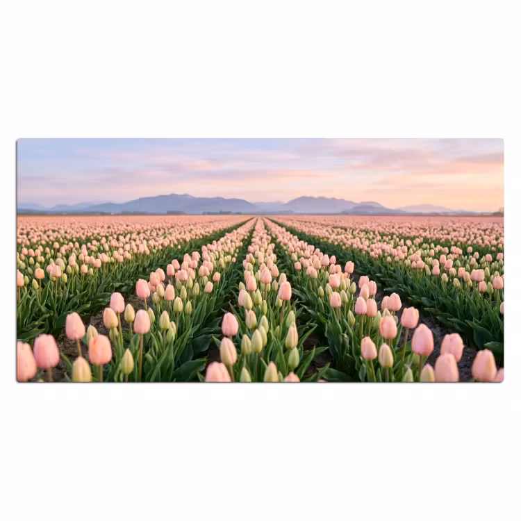 Tulpen - Landschap - Roze Muismat XXL klein -3d_leeg