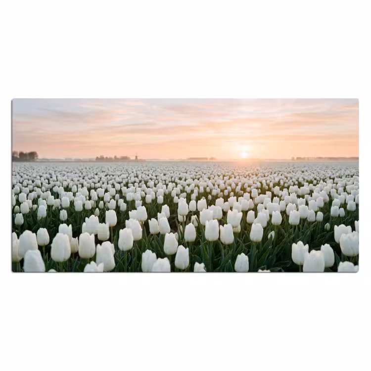 Tulpen - Landschap - Wit Muismat XXL klein -3d_leeg