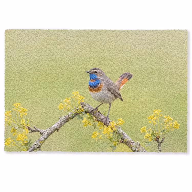 Vogel - Tak - Natuur - Kleurrijk Deurmat klein -zkaufland3d