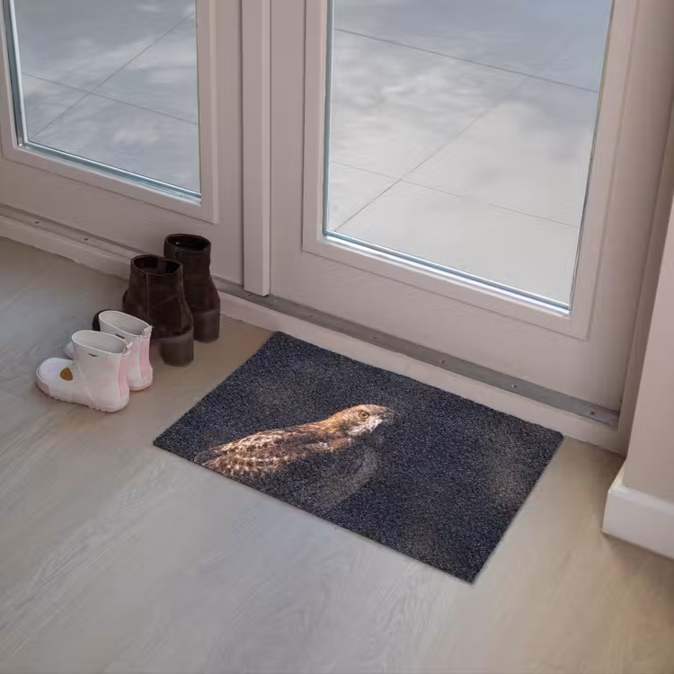 Roofvogel - Buizerd - Bruin Deurmat klein -sfeer3