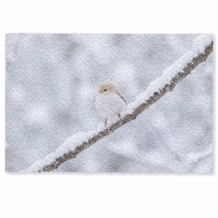 Vogeltje - Sneeuw - Tak - Winter - Zacht Deurmat klein -zkaufland3d