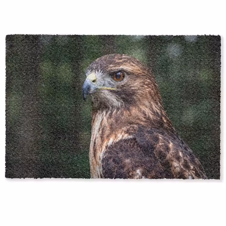 Buizerd - Roofvogel - Natuur - Bruin Deurmat klein -zkaufland3d