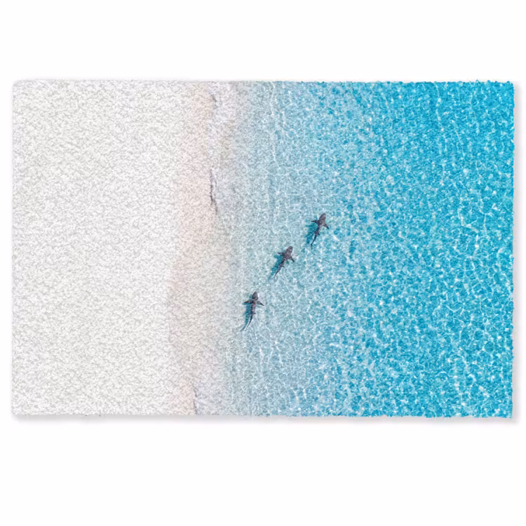 Vis - Oceaan - Strand - Turquoise - Natuur Deurmat klein -zkaufland3d