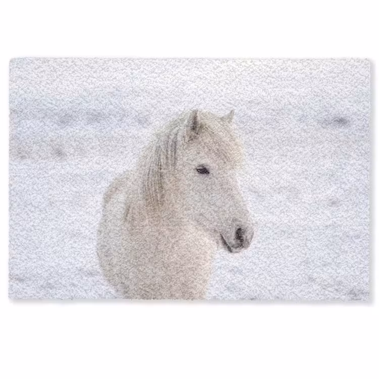 Paard - Kop - Winter - Dieren - Wit Deurmat klein -zkaufland3d