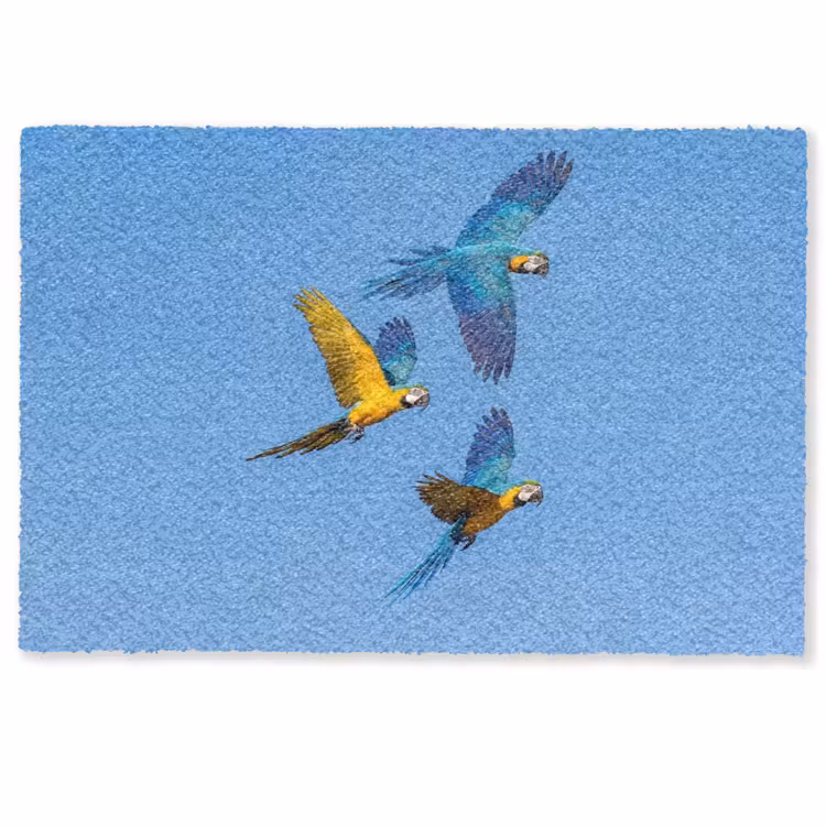 Papagaai - Vliegen - Blauw - Geel Deurmat klein -zkaufland3d