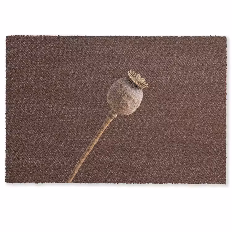 Papaverbol - Droogbloem - Bruin - Minimalistisch Deurmat klein -zkaufland3d