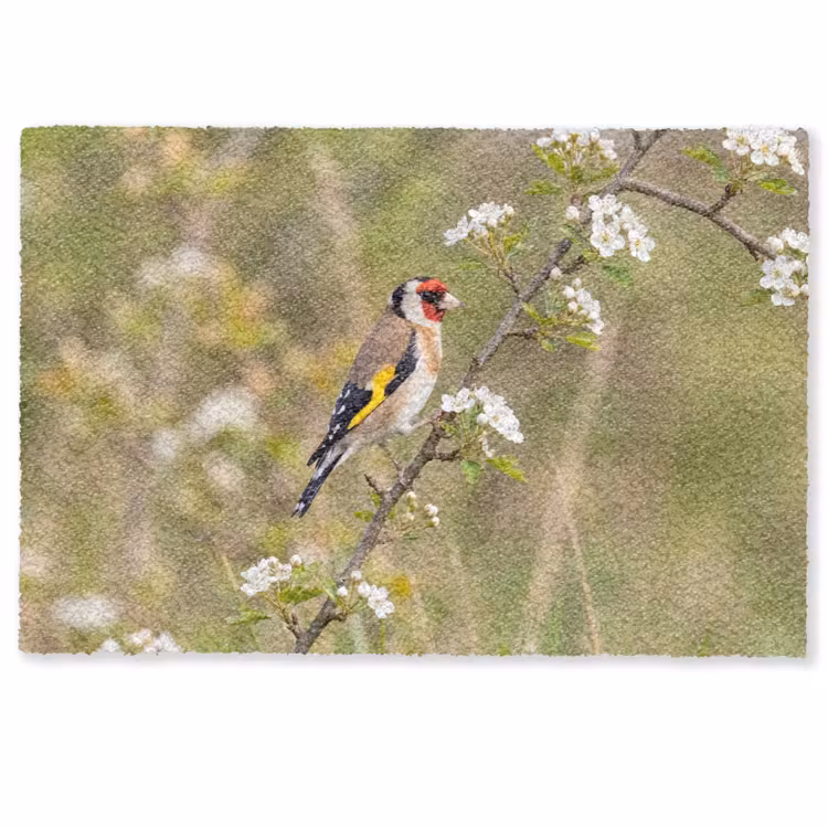 Putter - Bloesem - Lente - Natuur - Kleurrijk Deurmat klein -zkaufland3d