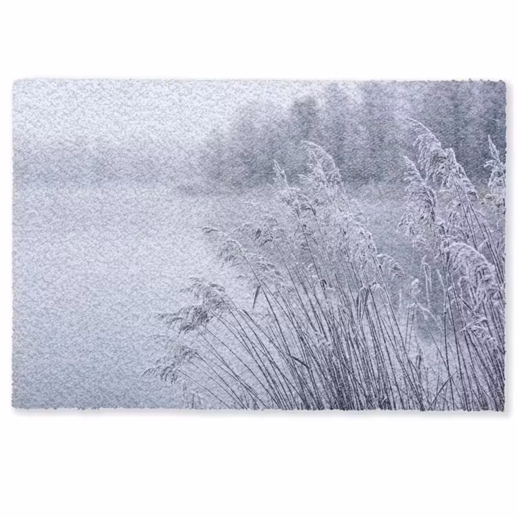 Riet - Bevroren - Winter - Natuur Deurmat klein -zkaufland3d