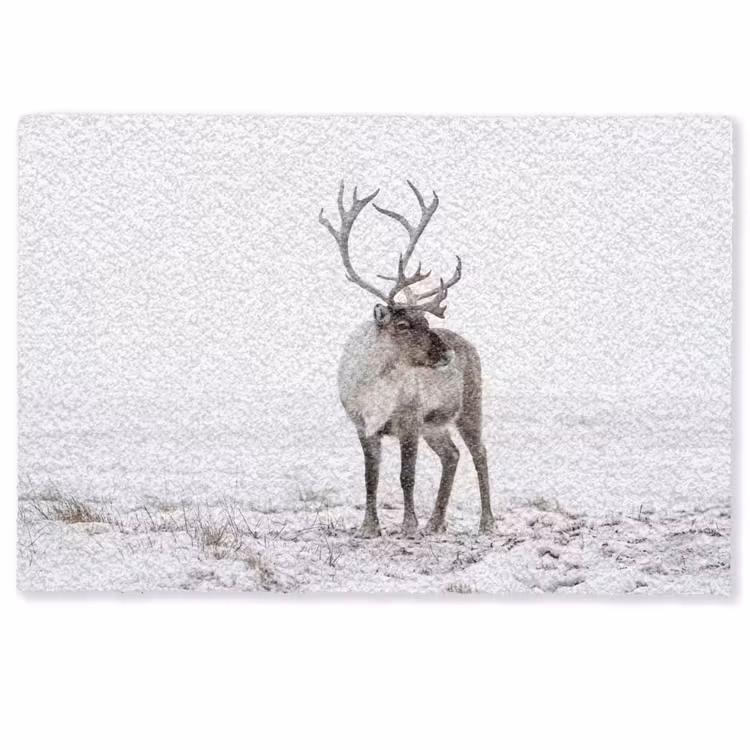 Rendier - Gewei - Sneeuw - Winter Deurmat klein -zkaufland3d