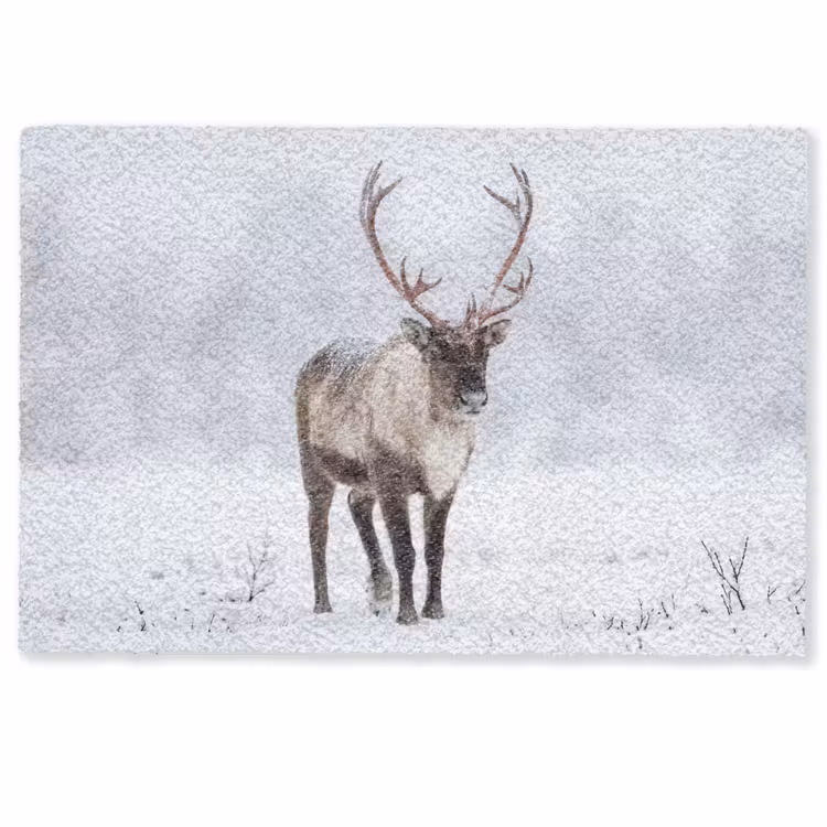 Rendier - Gewei - Toendra - Sneeuw - Wild Deurmat klein -zkaufland3d
