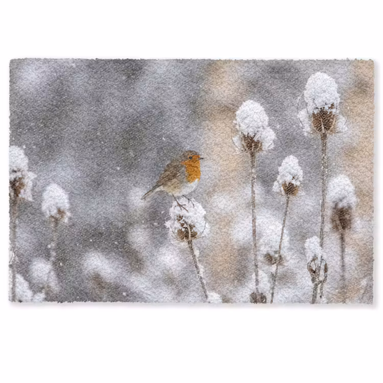 Roodborstje - Gedroogde bloem - Sneeuw - Winter - Vertederend Deurmat klein -zkaufland3d