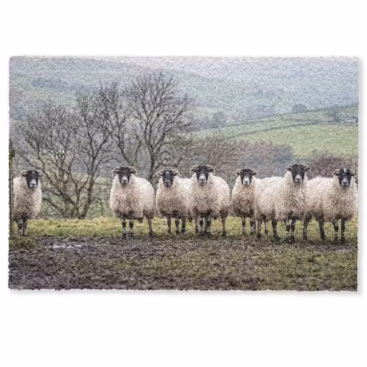 Schapen - Rij - Weide - Dieren - Platteland Deurmat klein -zkaufland3d
