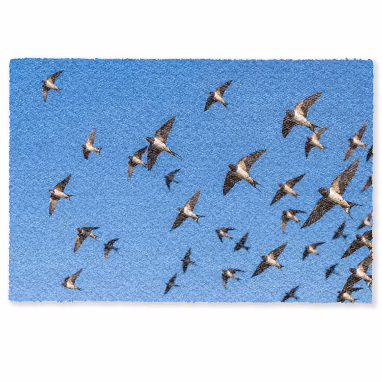 Zwaluwen - Vliegen - Blauw Deurmat klein -zkaufland3d