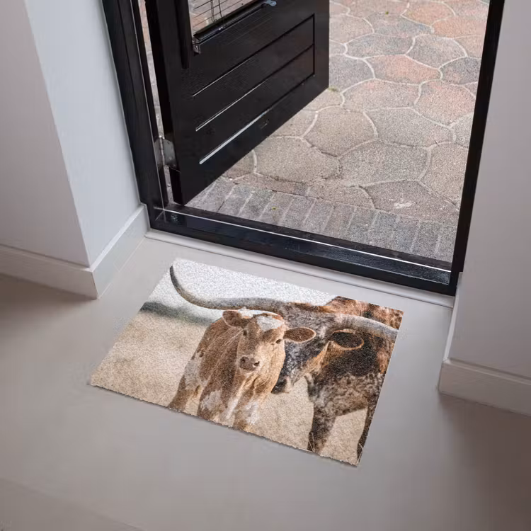 Texas Longhorn - Kalf - Weide - Dieren Deurmat klein -sfeer5