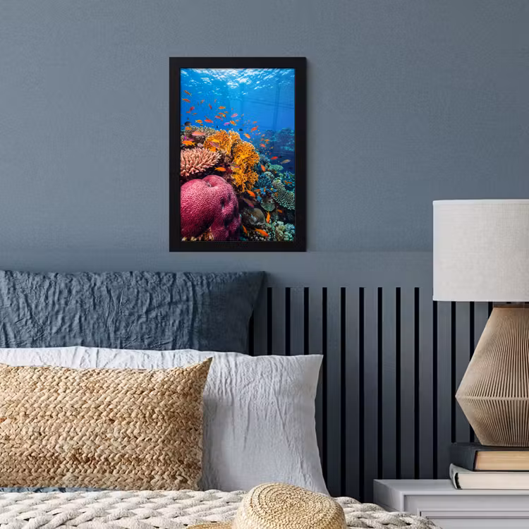 Koraal - Vissen - Oceaan - Natuur - Kleurrijk fotolijst zwart zonder passe partout klein -sfeer3