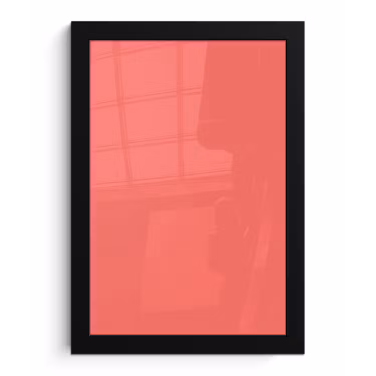 Coral - Punch - Koraal fotolijst zwart zonder passe partout klein 224 -3d