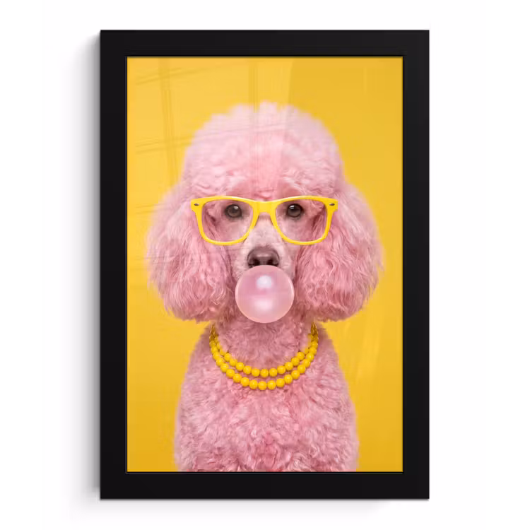 Hond - Kauwgum - Dieren - Modern - Roze fotolijst zwart zonder passe partout klein -3d
