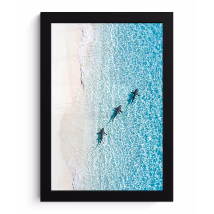 Vis - Oceaan - Strand - Turquoise - Natuur fotolijst zwart zonder passe partout klein -3d