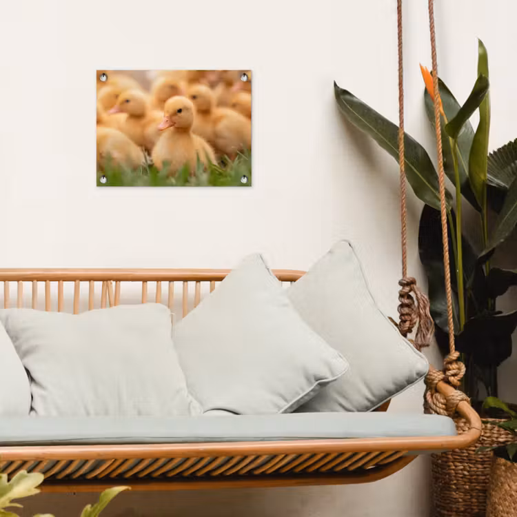 Pijltje - Eend - Natuur - Geel tuinposter los doek klein -sfeer7