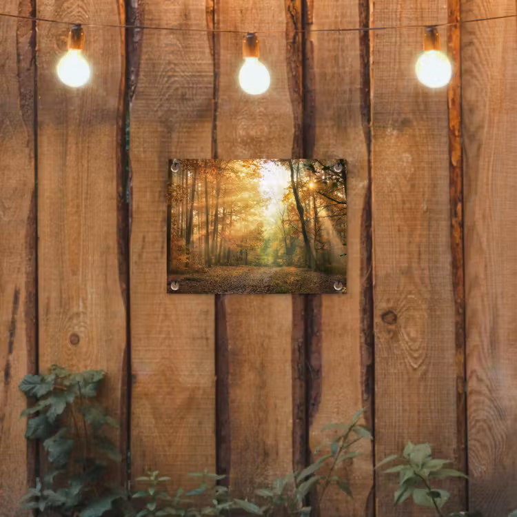 Herfstbos in gouden zonlicht tuinposter los doek klein -sfeer1
