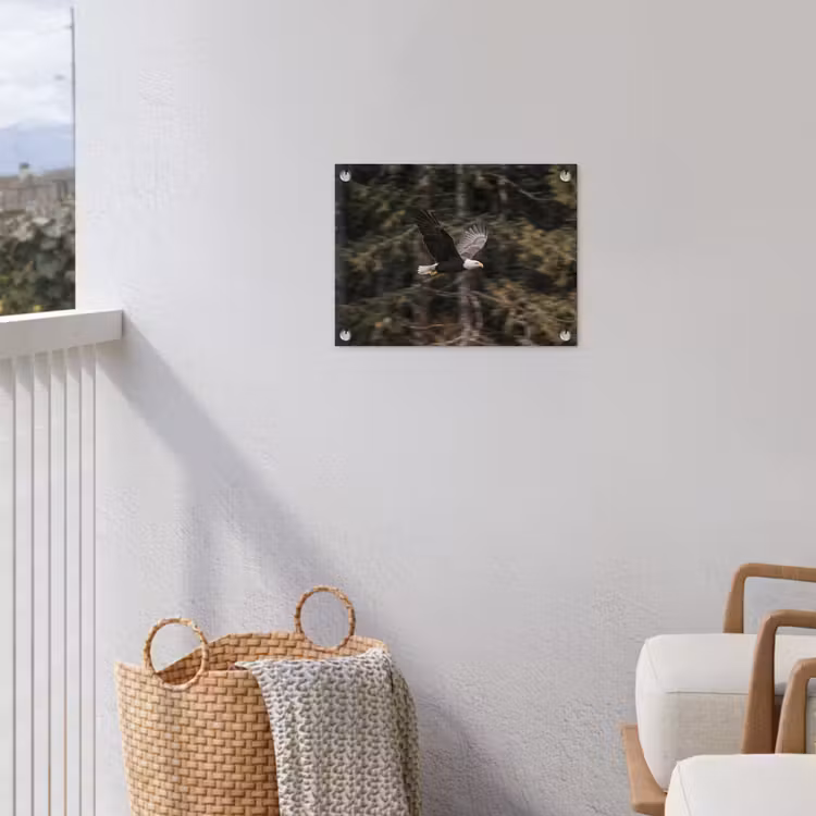 Zeearend - Vliegen - Bos - Natuur tuinposter los doek klein -sfeer8