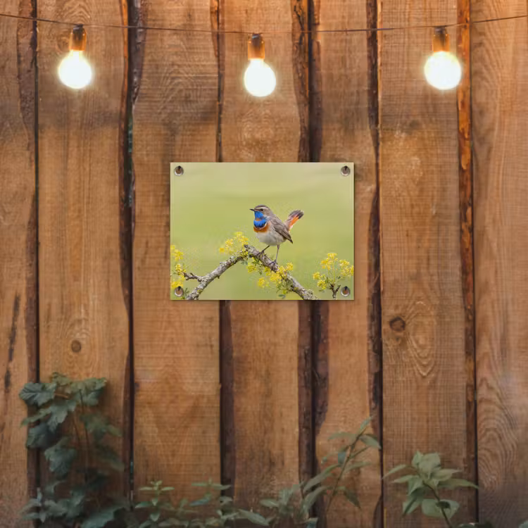 Vogel - Tak - Natuur - Kleurrijk tuinposter los doek klein -sfeer1